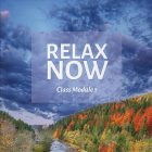 Relax Now Workbook